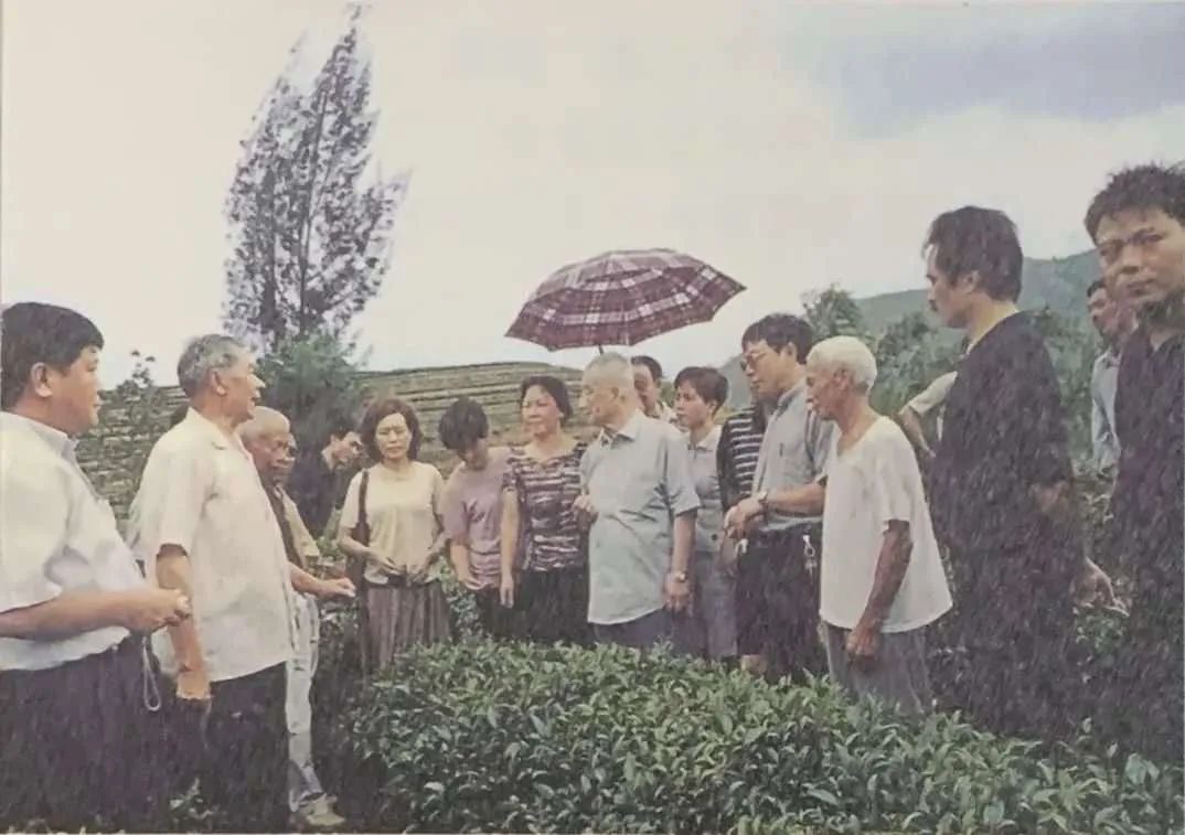 WechatIMG1980.jpg